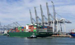 China Sea/Ocean Freight from Xiamen to Jeddah on sale 